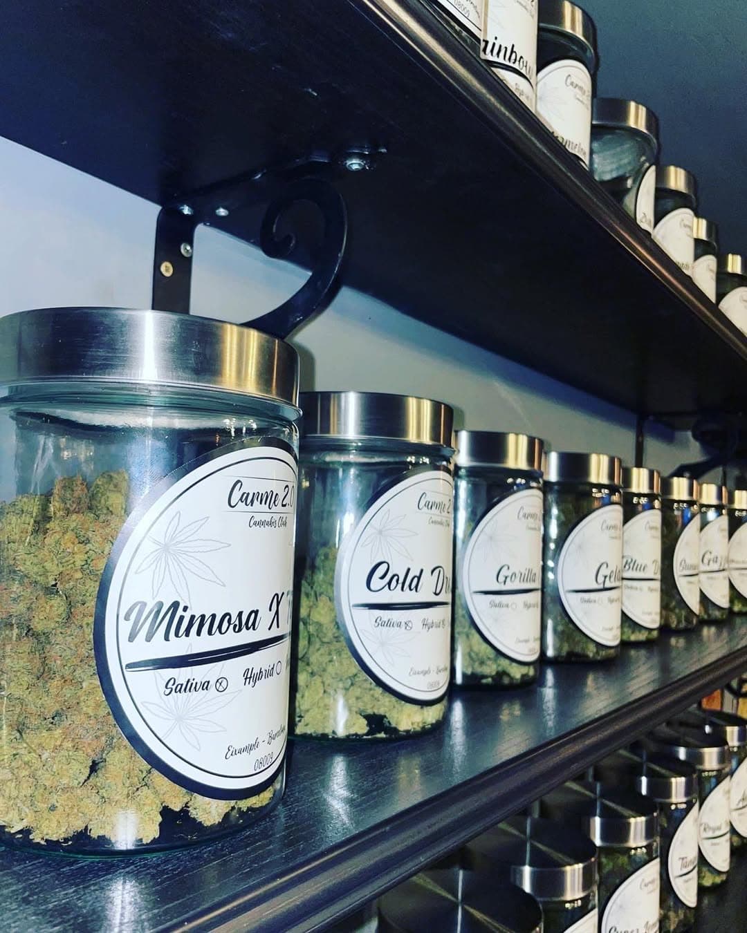 Private Cannabis Clubs vs Weed Tourism in Barcelona